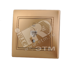Мира Розетка компьютерная металлик золото с вставкой 701-1313-139 Lezard