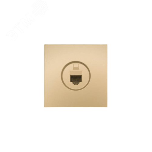 Изображение товара ZIMA Розетка компьютерная золото Lezard 704-3688-139 (шт)