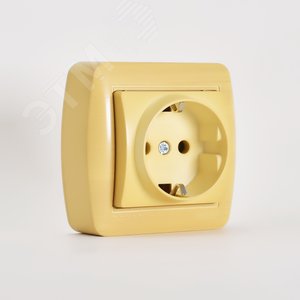 Изображение товара Демет Розетка с заземлением наружная ясень (шт)