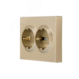 Изображение товара VESNA Розетка двойная с/з ПБТ золото (шт)