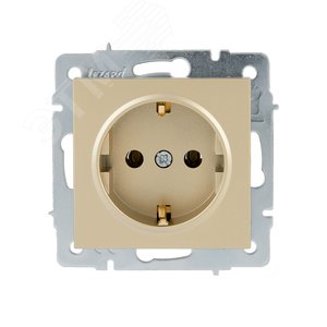 Изображение товара VESNA Розетка с/з ПБТ золото (шт)