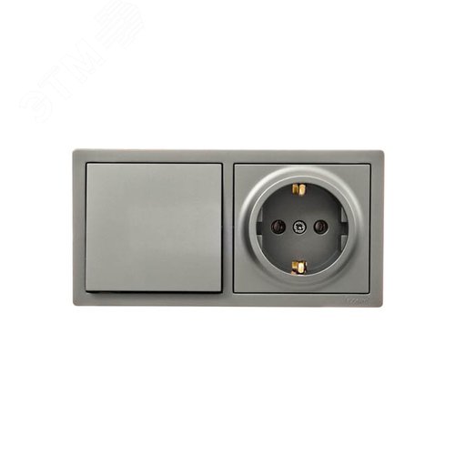 Изображение товара LETO Выключатель и розетка с заземлением, платина горизонталь Lezard 752-3500-170BAP (шт)
