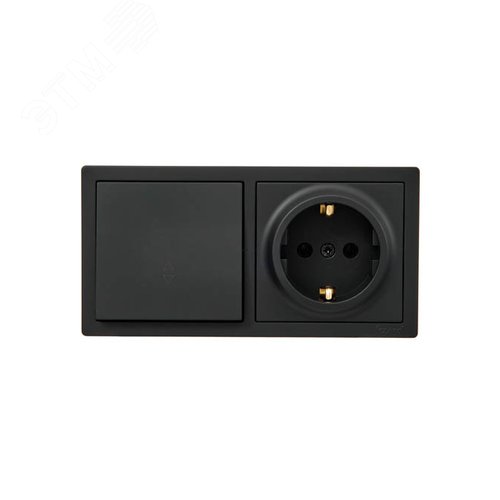 Изображение товара LETO Выключатель проходной и розетка с заземлением, черный бархат горизонталь Lezard 752-4200-170BVP (шт)