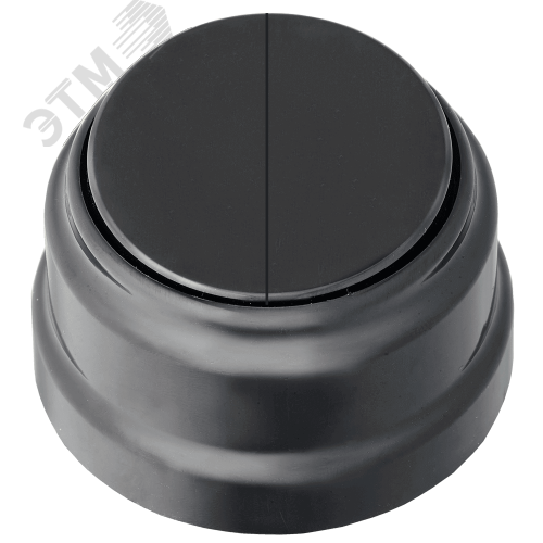 Изображение товара Двухклавишный выключатель А5 10-2202 открытой установки черный