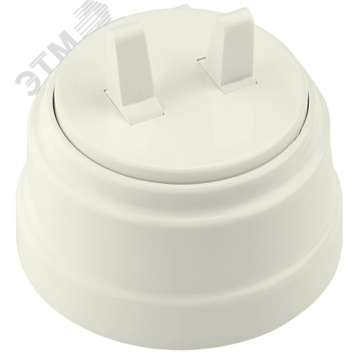 Изображение товара Двухклавишный выключатель А5 10-2204 бежевый для открытой установки