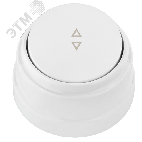 Изображение товара Одноклавишный ретро выключатель А6 10-2261 для открытой установки БелТИЗ