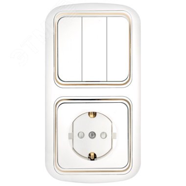 Изображение товара Блок совмещенный БелТИЗ Гармония люкс 3В-РЦ-561 3 клавиши с заземлением