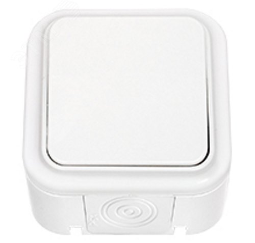 Изображение товара Беларусь Выключатель одноклавишный IP44 наружный для уличных и промышленных установок