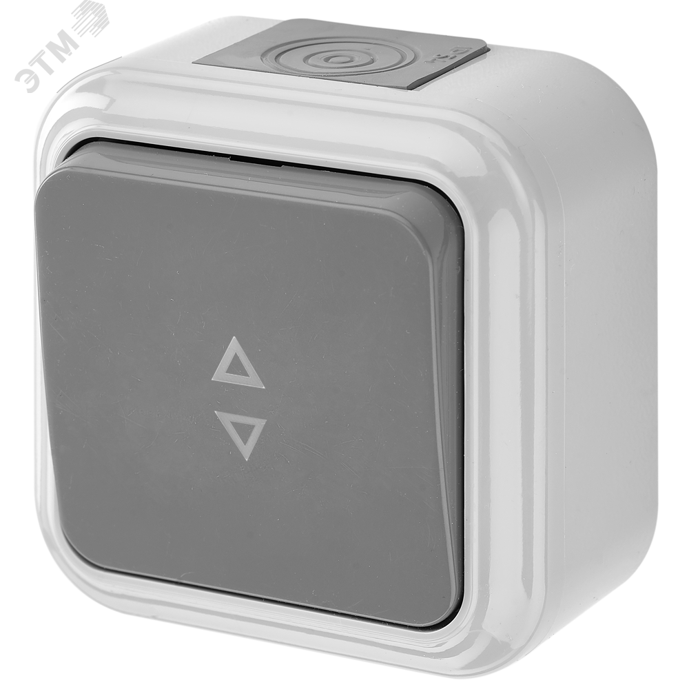 Изображение товара Выключатель одноклавишный IP54 для наружной установки БелТИЗ