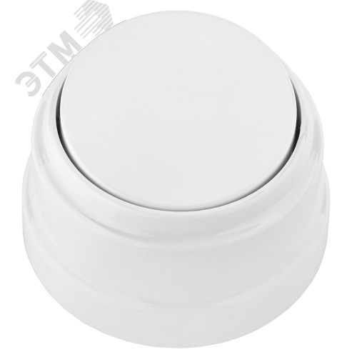 Изображение товара Ретро выключатель одноклавишный открытой установки А1 10-2201 (шт)