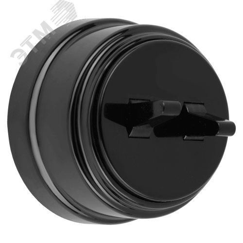 Изображение товара Ретро выключатель двухклавишный открытой установки тумблерныйА5 10-2204 черный (шт)