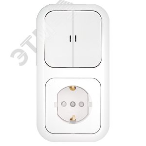 Изображение товара Беларусь Блок скрытый: выключатель двухклавишный с индикатором + розетка (шт)