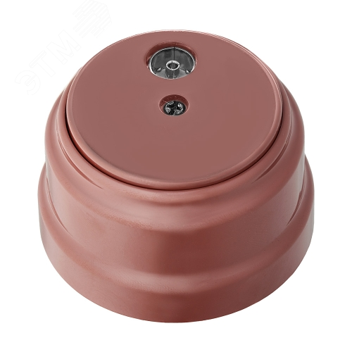 Изображение товара Ретро розетка телевизионная открытой установки ТР-5241 коричневый (шт)