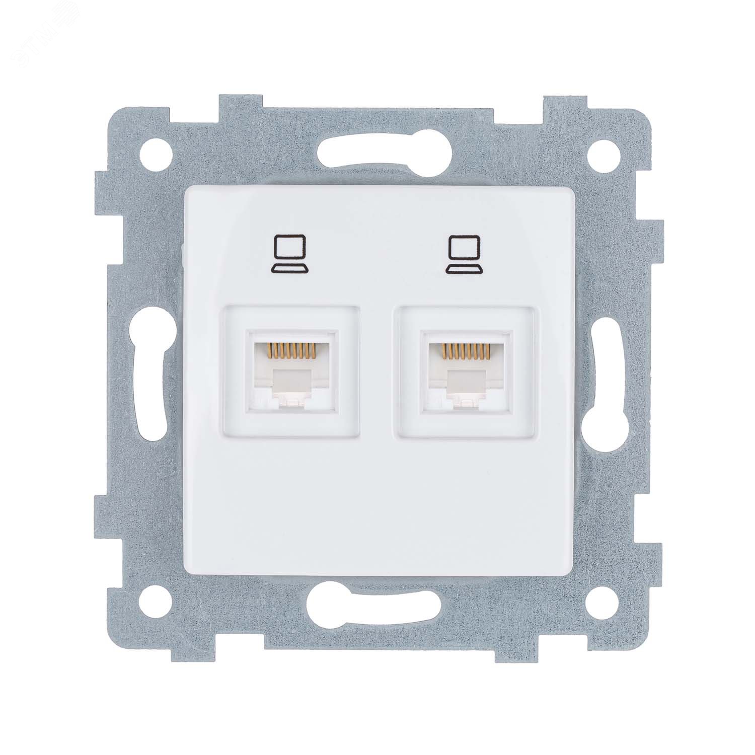 Изображение товара Розетка компьютерная низковольтная двухгнездная серии Мария из армамида и латуни