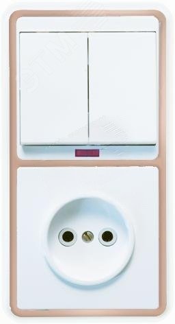 Изображение товара Выключатель двухклавишный с индикацией и розеткой БЭЛЛА БКВР-213 золотой