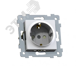 Изображение товара Аксиома Механизм розетки одноместной с заземляющим контактом и шторкой скрытой установки РС16-454, белый (шт)