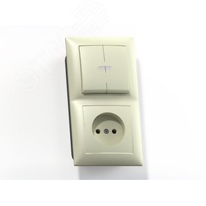 Изображение товара СЕЛЕНА Блок комбинированный с/у выключатель 2-хклавишный с подсв.+розетка 2К БКВР-418, сл.кость (шт)