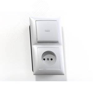 Изображение товара СЕЛЕНА Блок комбинированный с/у выключатель одноклавишный с подсв.+розетка 2К БКВР-417, белый (шт)