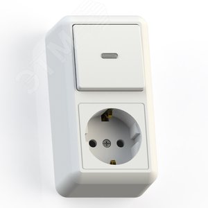 Изображение товара ОПТИМА Блок Выключатель с подсветкой 10А/ розетка с зеземлением 16А БКВР-432 наружный белый (шт)