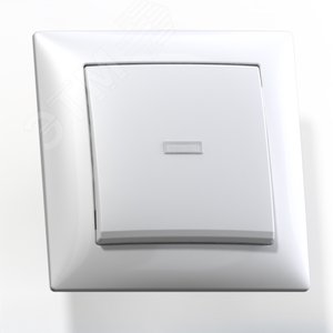 СЕЛЕНА Выключатель скрытой установки одноклавишный со светоиндикацией 10А С110-395, белый