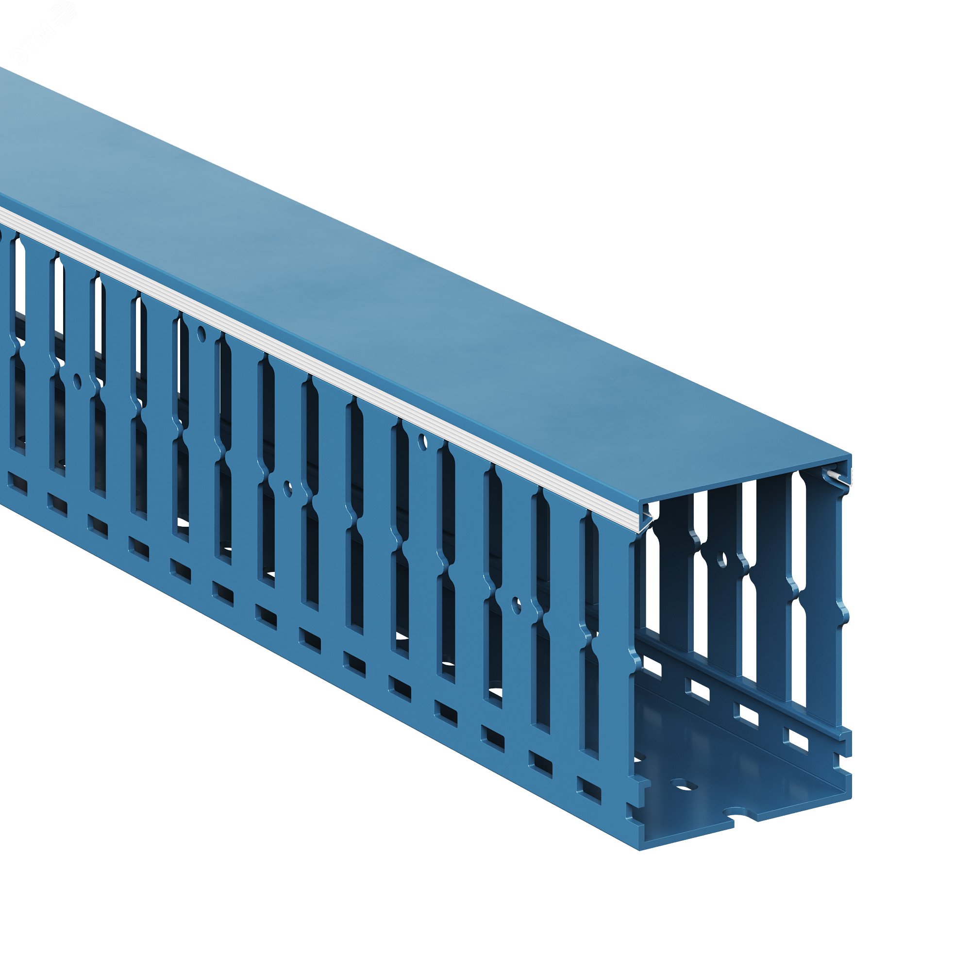 Изображение товара Короб перфорированный синий RL12 60x100 из ПВХ для кабельной прокладки