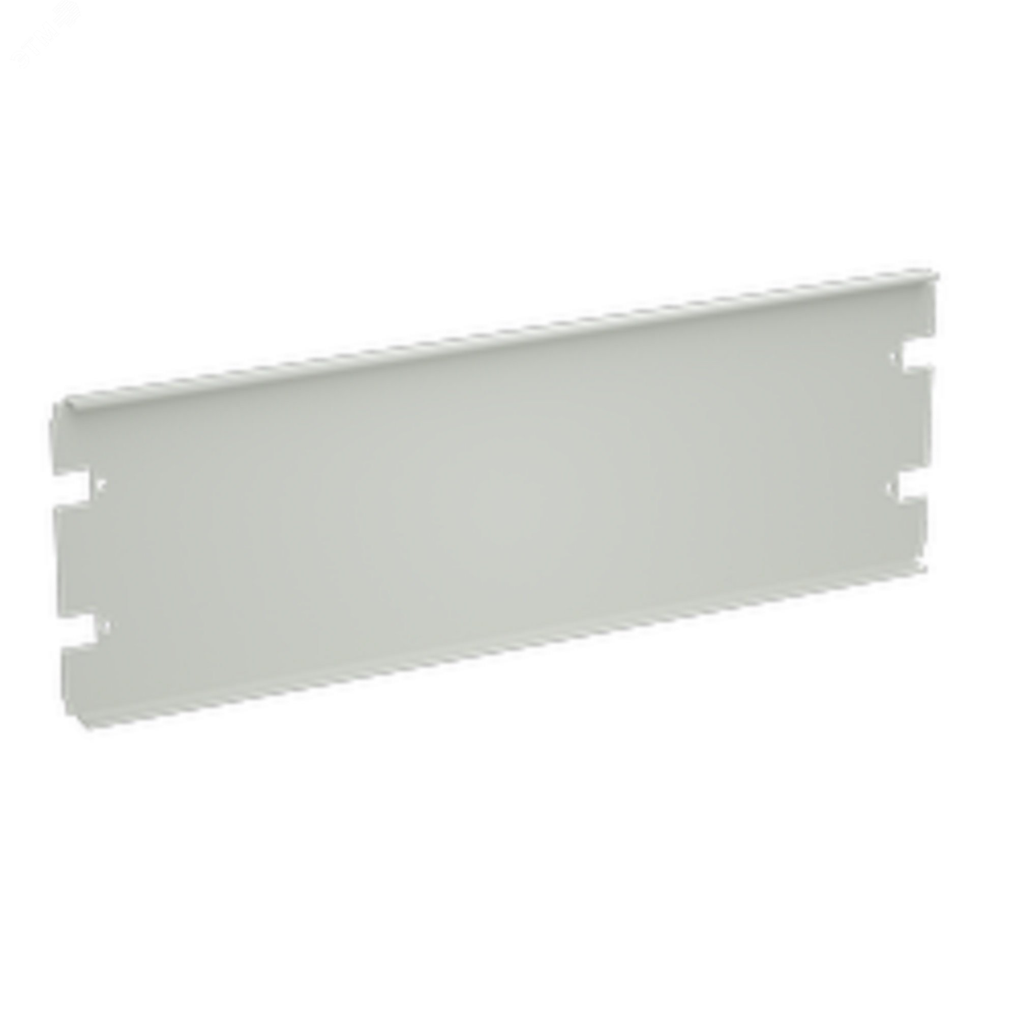 Изображение товара Панель RAM Power DKC R5CPL1010 1000x100 мм глухая поликарбонат