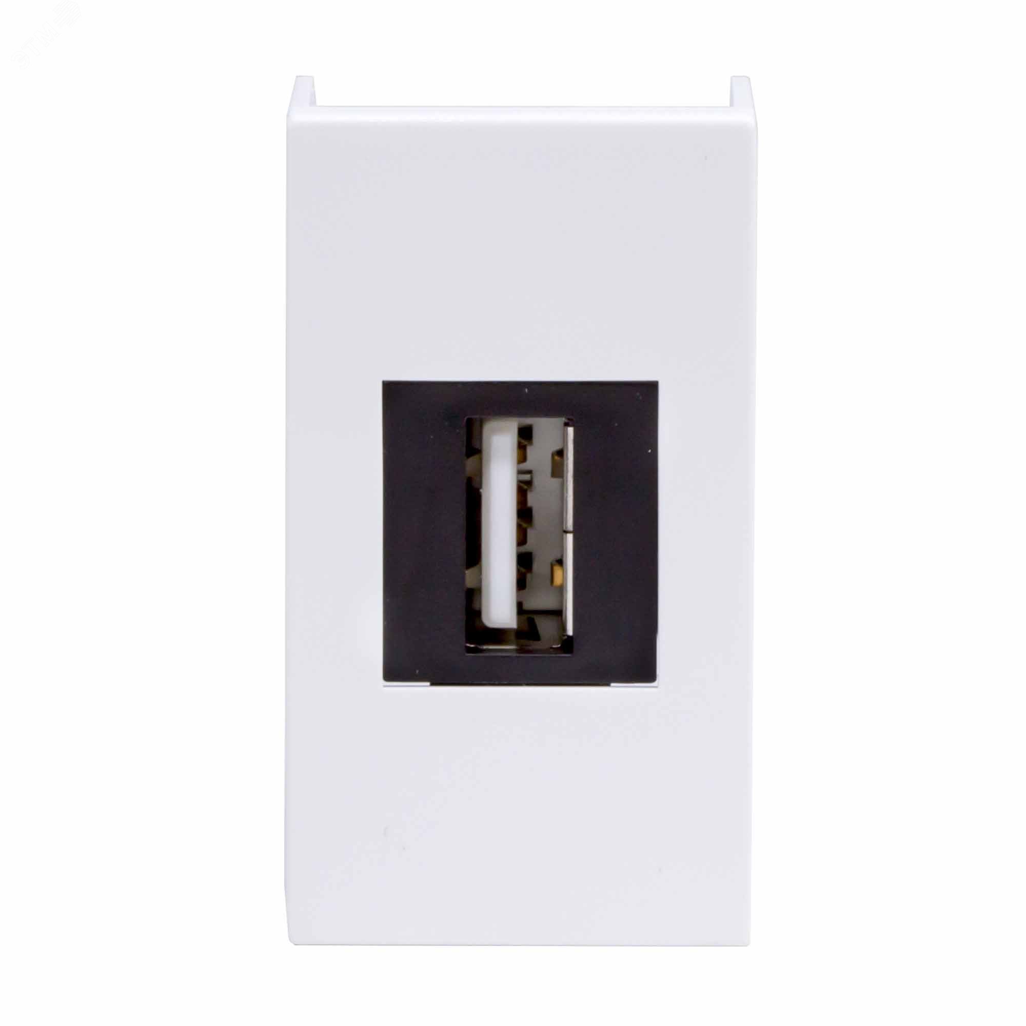 Изображение товара Мультимедийная USB розетка VIVA белая 1 модуль IP20 для монтажа в кабель-канал Изображение товара Мультимедийная USB розетка VIVA белая 1 модуль IP20 для монтажа в кабель-канал