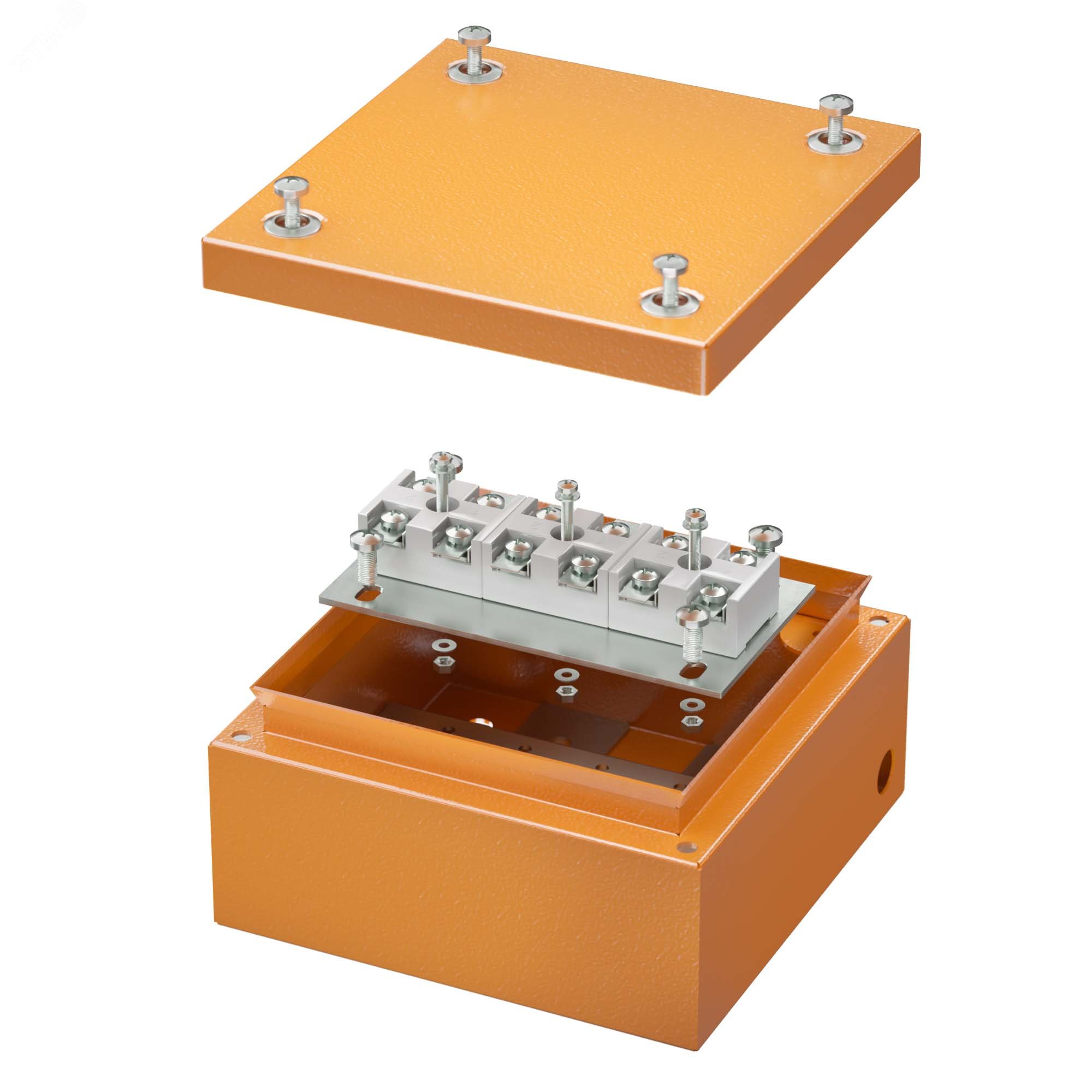 Коробка стальная FS с гладкими стенками и клеммникамиIP66 150х150х80мм 6р 450V 20A 10мм.кв  нерж.контакт FSK30610 DKC - превью 2