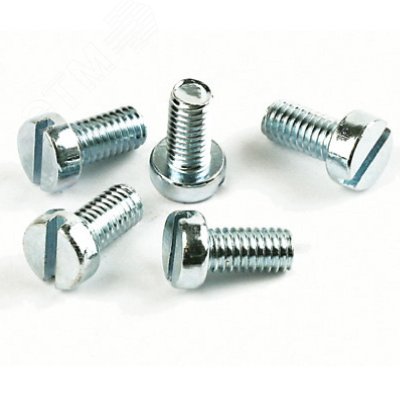 Изображение товара Винт М6 для монтажа оборудования (шт)