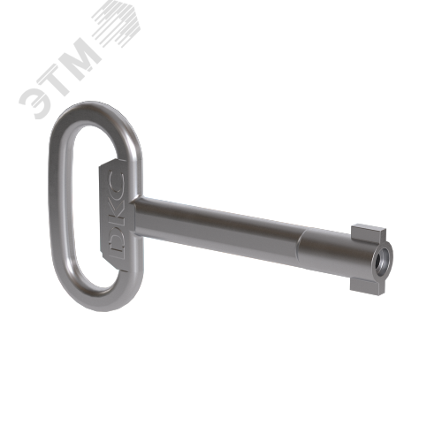 Ключ металлический  с двойной бородкой 3мм R5CE230 DKC