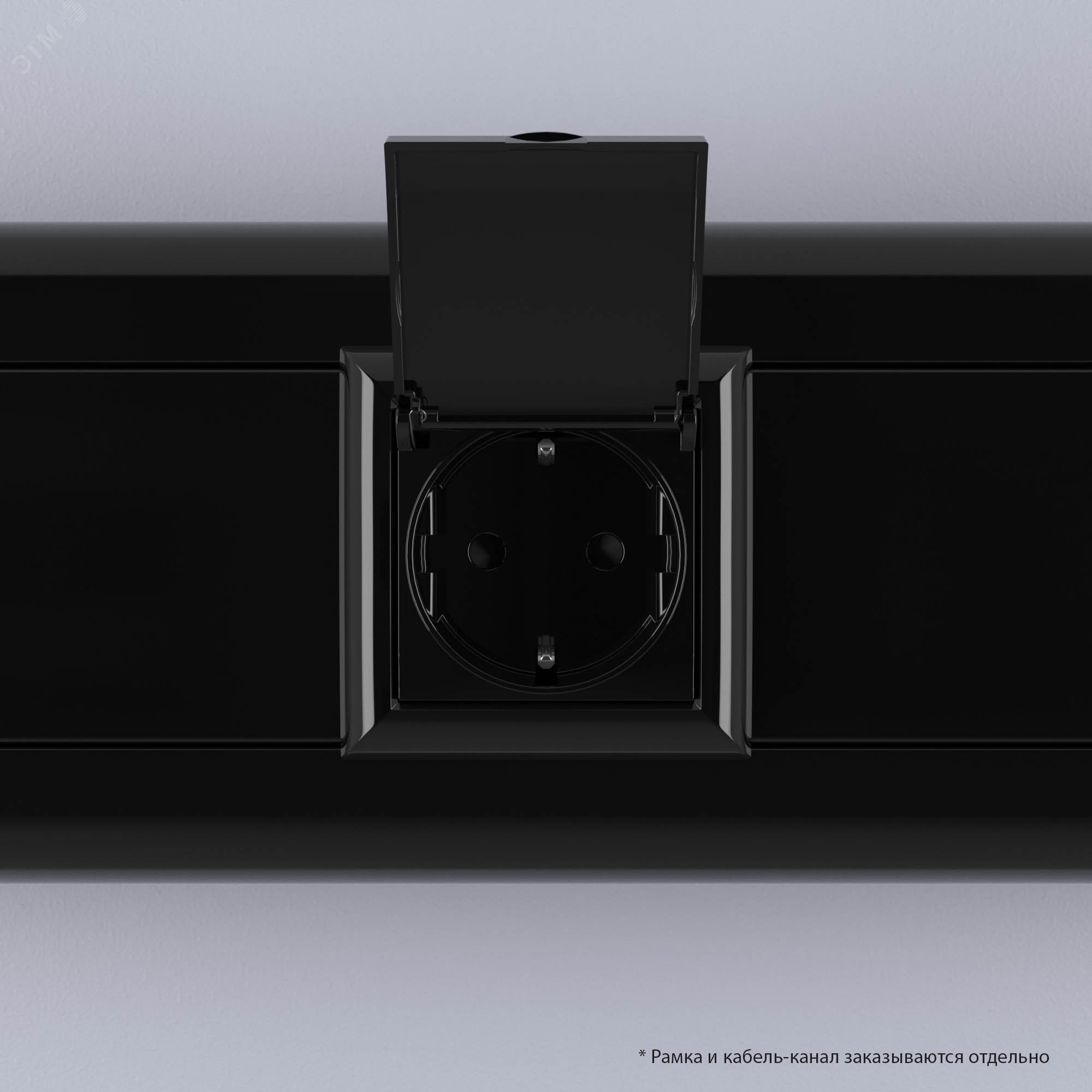 Avanti Розетка с крышкой ''Черный квадрат'', 2P+E, с защитными шторками, 2 модульная 4402012 DKC - превью 7