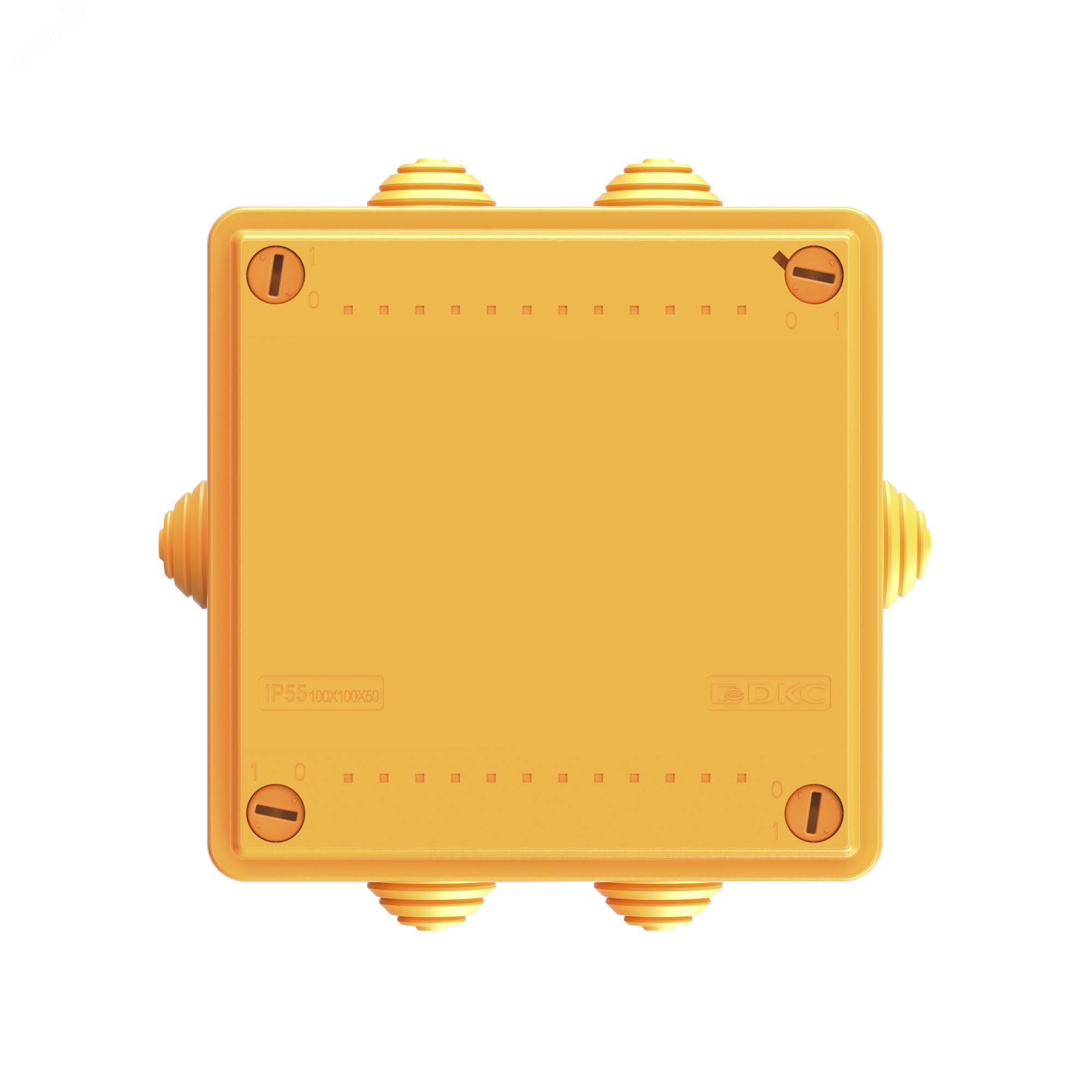 Коробка пластиковая FS с кабельными вводами и клеммниками IP55 100х100х50мм FSB11404 DKC - превью 5