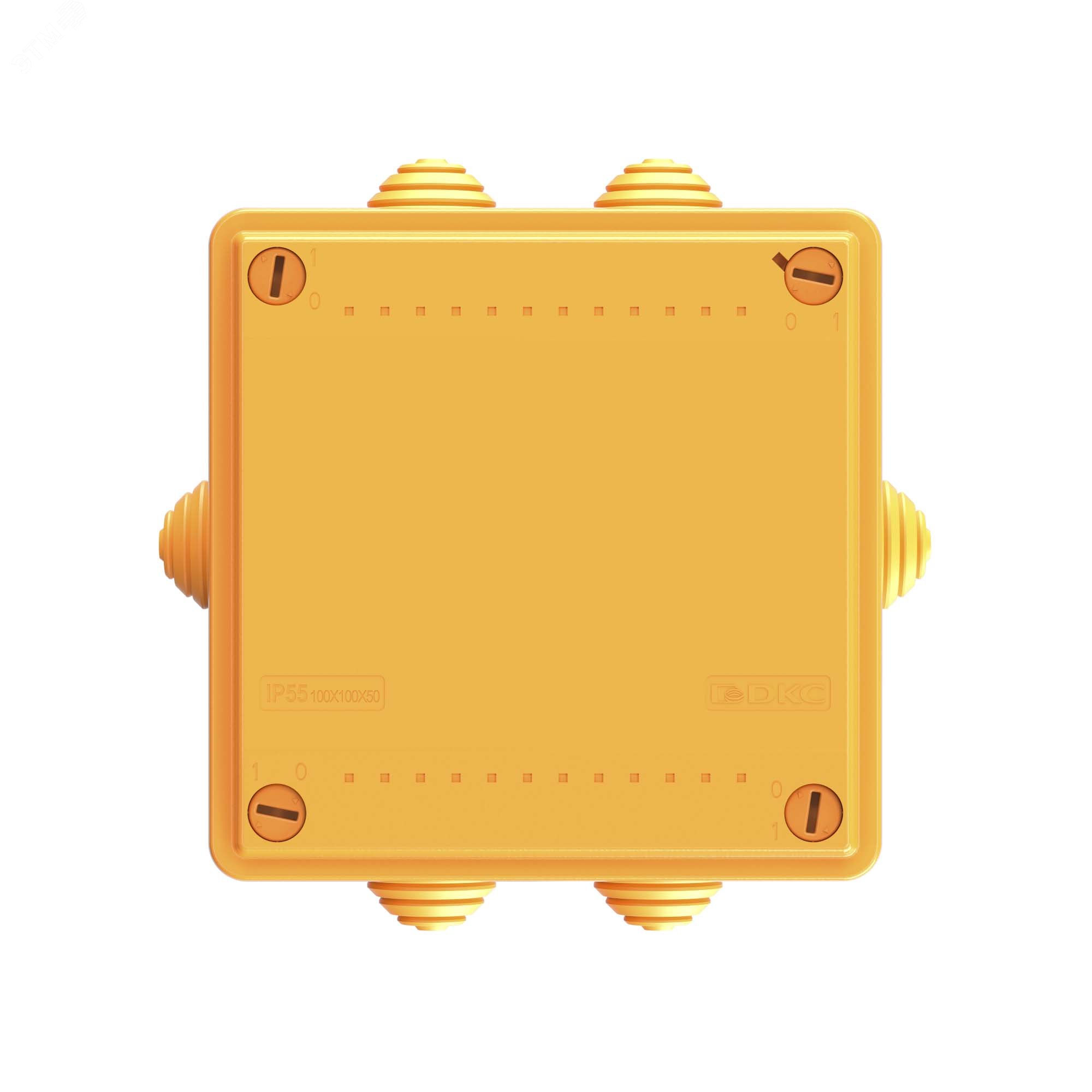 Коробка пластиковая FS с кабельными вводами и     клеммниками IP55 100х100х50мм 6р 450V 6A 4мм кв. FSB11604 DKC - превью 5