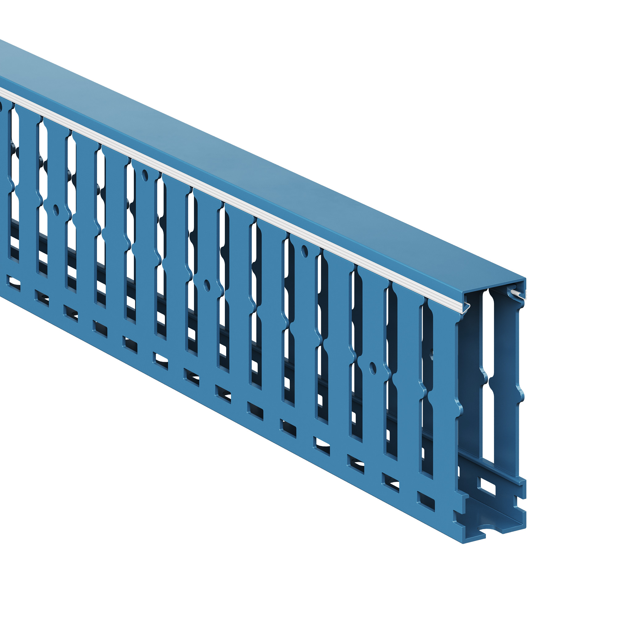 Короб перфорированный RL12 25x80 синий