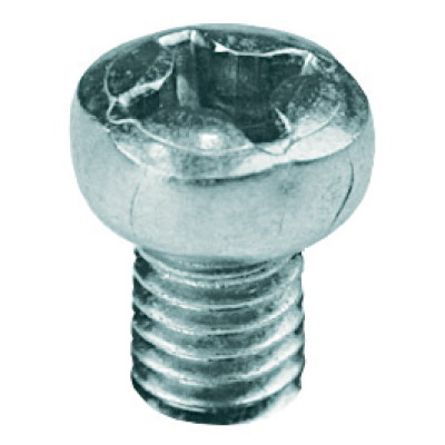 Винт М6х10 полуцилиндрическая головка