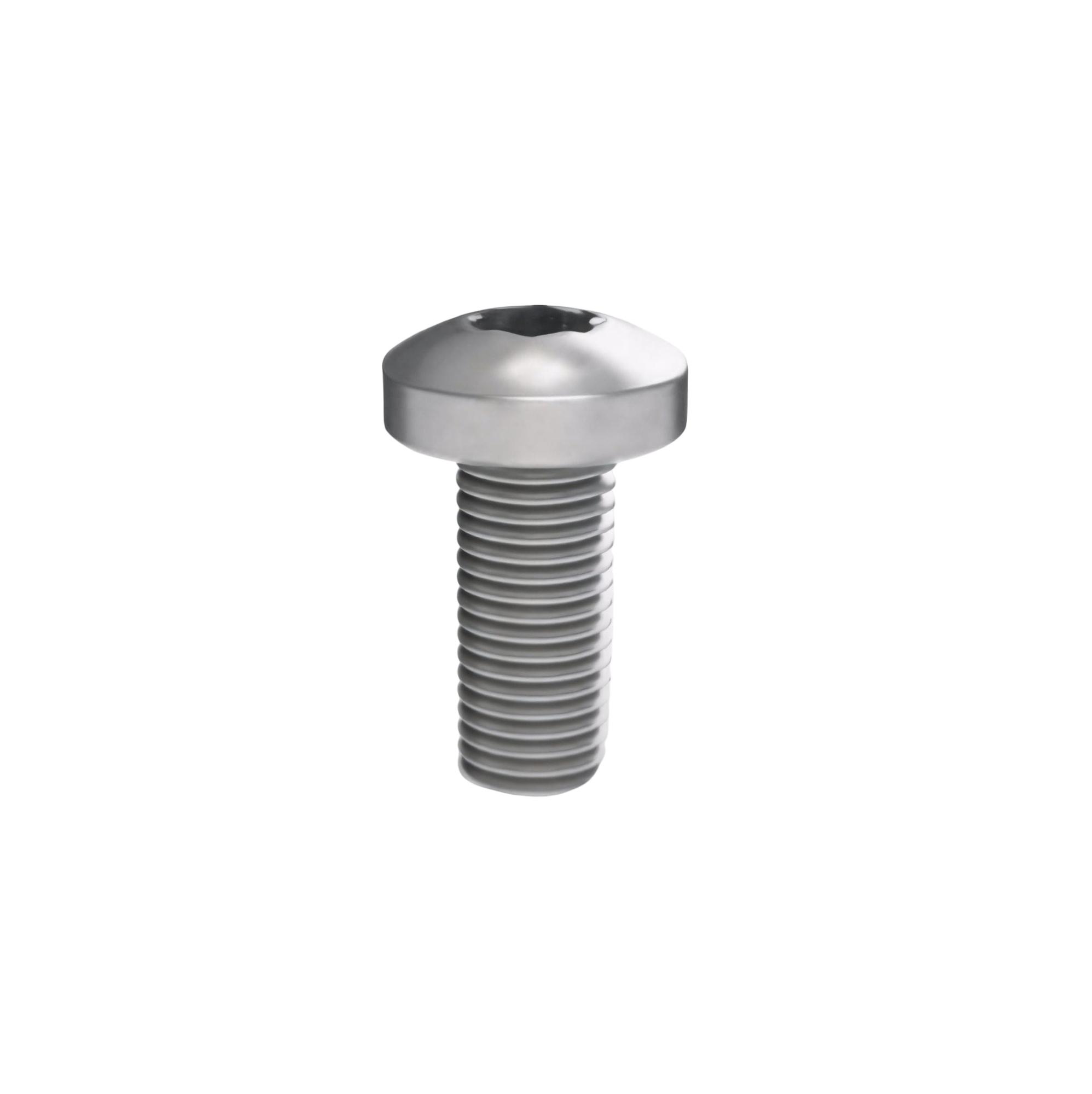 Винт M5x25 для шинного держателя (20 шт) РАМ пауэр