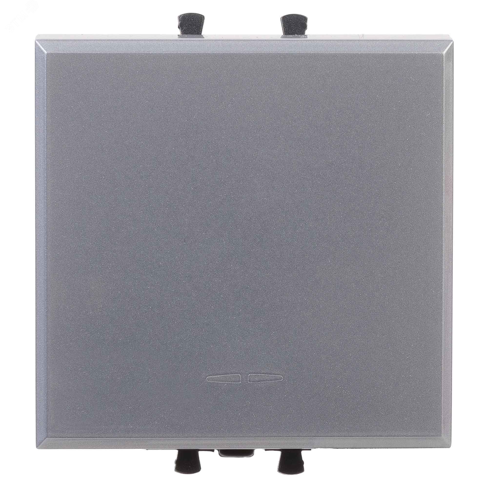 Изображение товара Переключатель одноклавишный модульный Avanti закаленная сталь 2 модуля