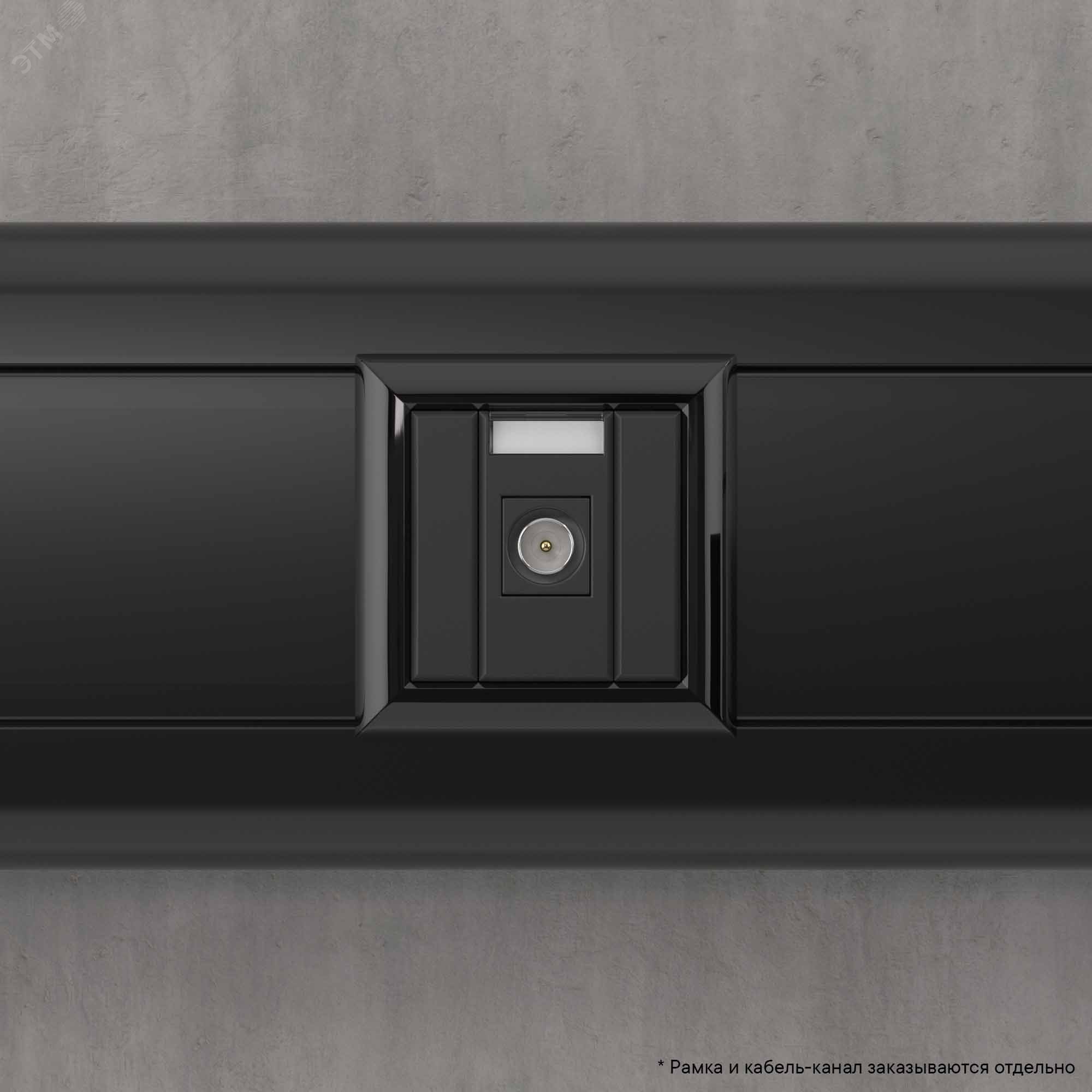 Avanti Розетка TV одиночная модульная, , Черный матовый, 1 модуль 4412501 DKC - превью 6