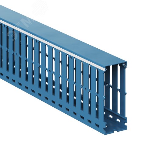 Короб перфорированный RL12 40х100 синий - фото 1