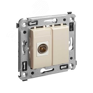 Avanti Розетка TV в стену оконечная ''Ванильная   дымка'' - фото 2