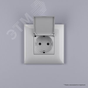 Avanti Розетка с крышкой в стену 2P+E с з/ш  Закаленная сталь - фото 6