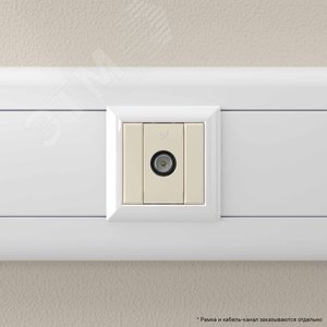 Розетка TV проходная модульная, Avanti, ванильная дымка, 1 модуль - фото 6