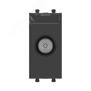 Avanti Розетка TV оконечная модульная,  Черный матовый, 1 модуль - фото 1