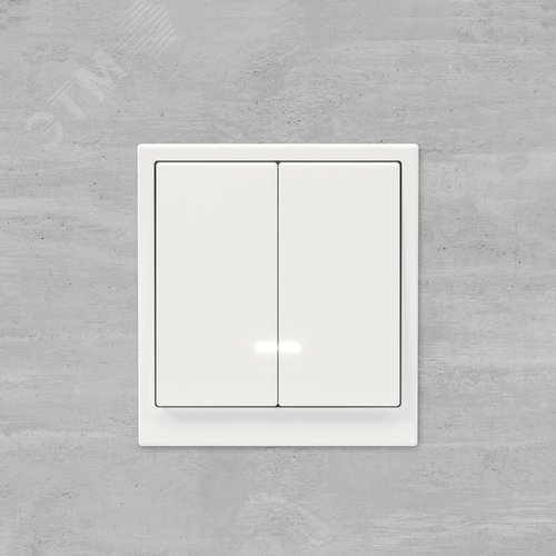 Переключатель двухклавишный с подсветкой, KANT, белая магнолия - фото 8