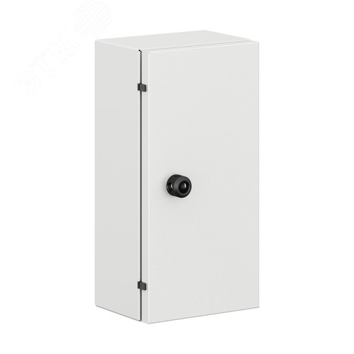 Накладка для навесного замка шкафов ST и CE, с личинкой под ключ сдвойной бородкой 3мм - фото 4