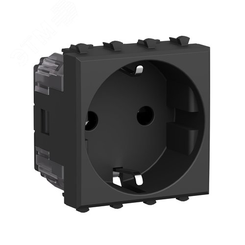 Розетка модульная, 2P+E, с з/ш, Avanti, черный матовый, 2 модуля - фото 2