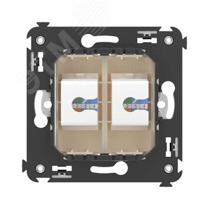 Avanti Телефонная розетка RJ-12 без шторки в стену двойная, Ванильная дымка - фото 4
