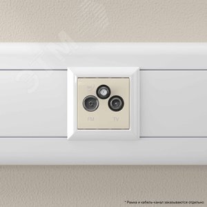 Розетка TV-FM-SAT модульная, Avanti, ванильная дымка, 2 модуля - фото 6