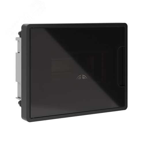 Щиток 8 мод встраиваемый для полых стен Фрейм (FRAME), черный, с тонированной дверцей, с 2 шинами PEN на 6 и 8 отв. - фото 1