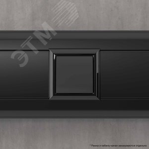 Вывод кабеля модульный, Avanti, черный матовый, 2 модуля - фото 6